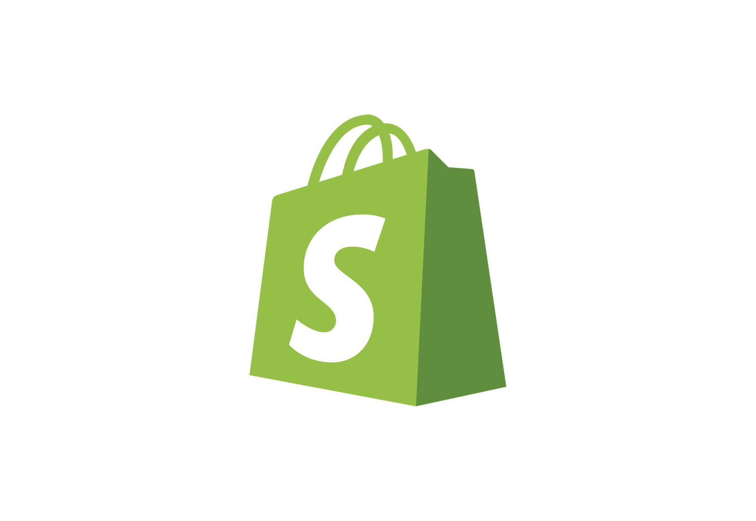 Shopify Partner